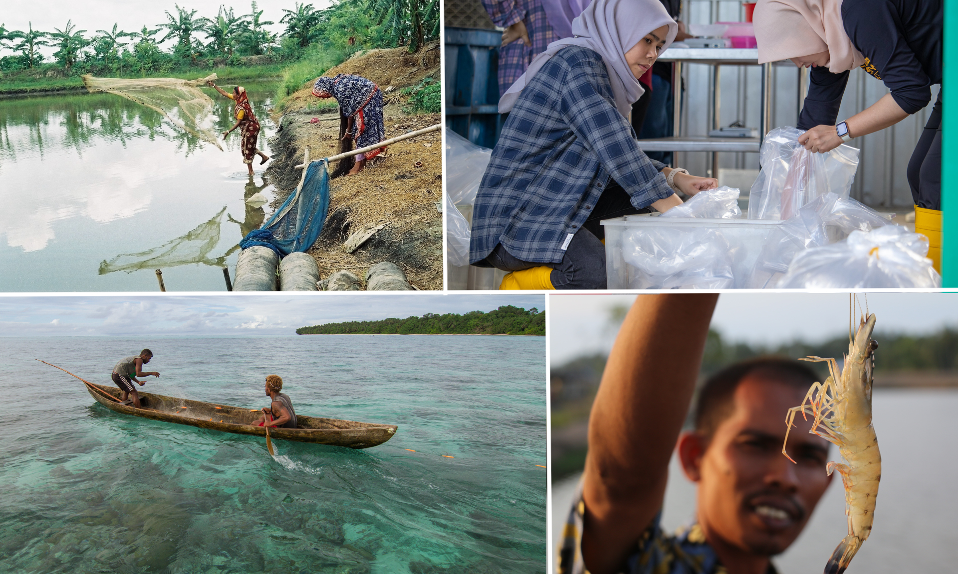 The blue economy refers to industries such as fisheries and aquaculture, tourism, renewable energy, shipping, and marine biotechnology.